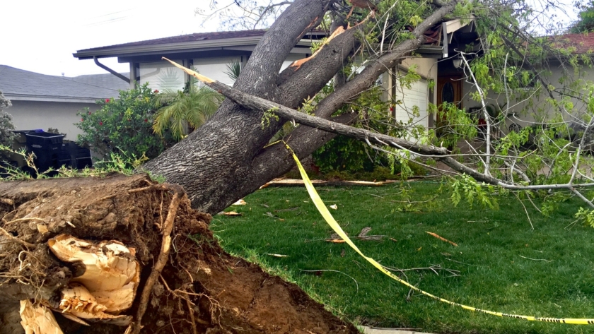 Natural disasters effect on property. A tree falls on a family home in a suburban neighborhood